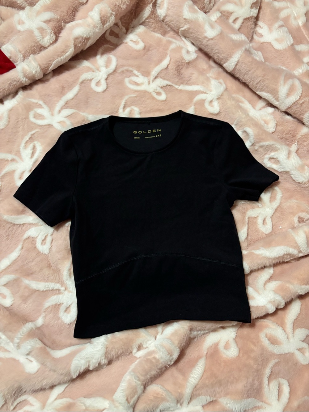 Aritzia Golden Black Short Sleeve Crop Tee